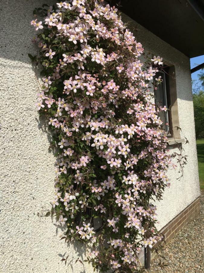 Heronlea Cottage Dunoon Exteriör bild